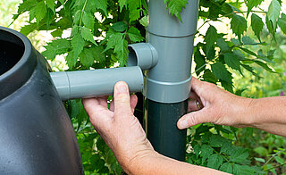 afkoppelen regenpijp in een natuurlijke tuin in Renkum; in a natural garden in the village Renkum Afkoppelen