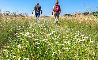 Klompenpad in gemeente Brummen