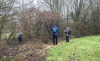 Inventarisatie door de Vlinderstichting